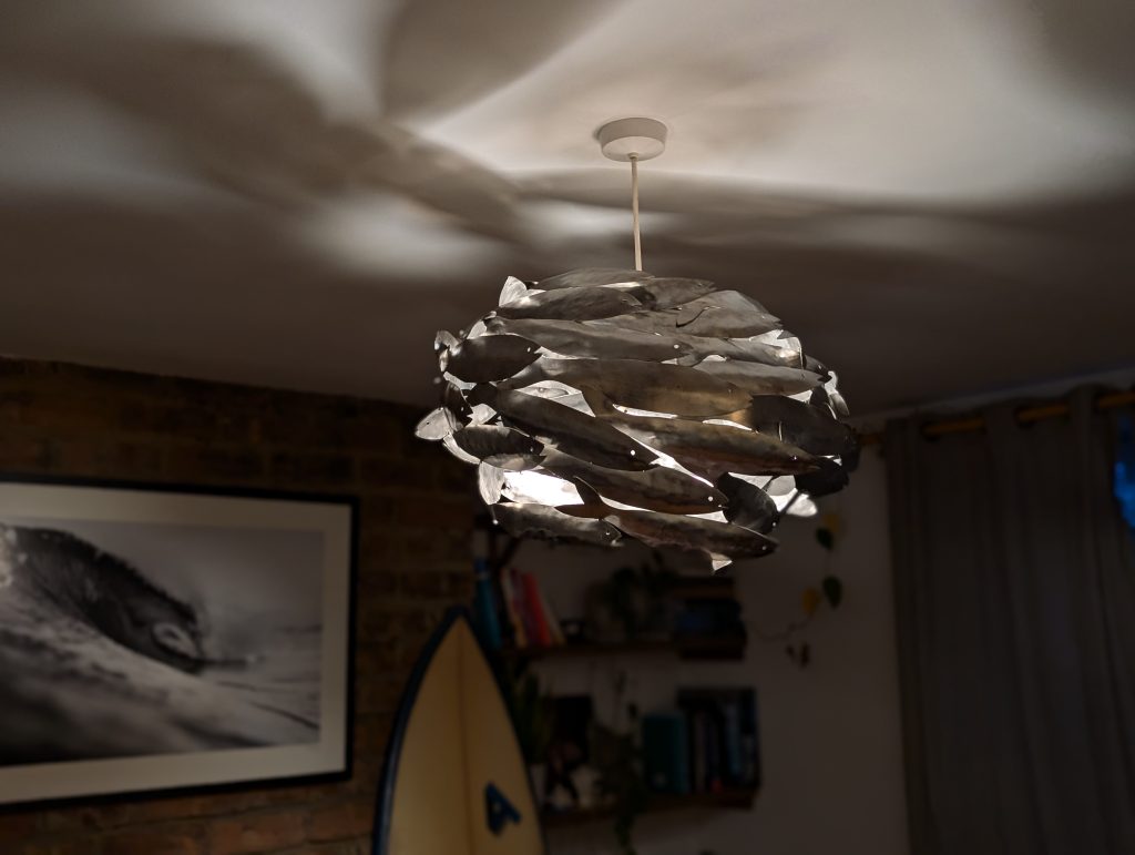 Fish lamp